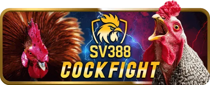 Đá Gà Thomo kv888